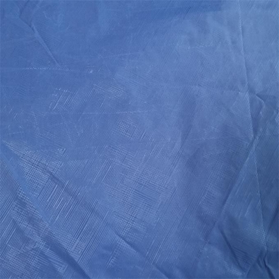 310t riciclano il tessuto impresso taffettà di nylon del tessuto 40dX40d 100%