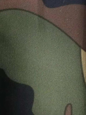 Tessuto del taffettà del poliestere 70gsm di 150CM che calandra il poli tessuto del taffettà 300t
