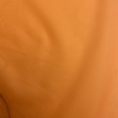 100%poliestere 20D 20D*(20D+40D) 60gm Taffeta di poliestere reticolato