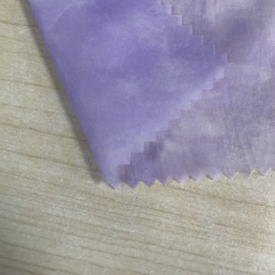 20D*20D 100%N 34GSM Tessuto di nylon