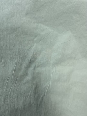 40D*40D 100%N 90GSM tessuto di nylon