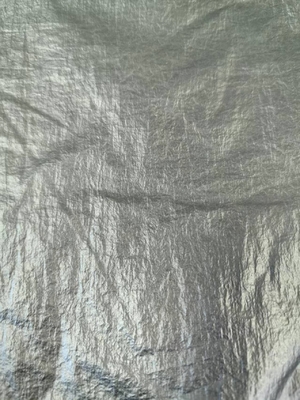 20D*20D 100%N 40GSM Tessuto di nylon