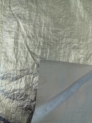 20D*20D 100%N 40GSM Tessuto di nylon
