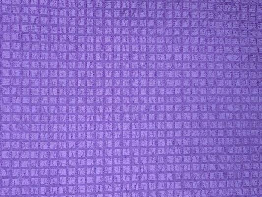 Tessuto per pantaloncini da surf 50D+50D T800*50D+50D T800 100%P 82±3GSM